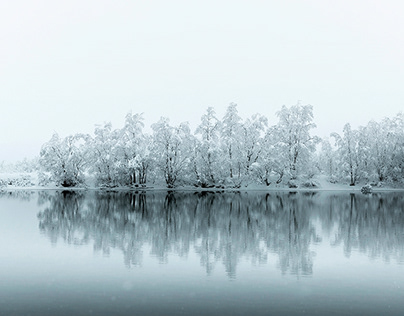 В россии стал недоступен шрифт Times New Roman: как такое может быть