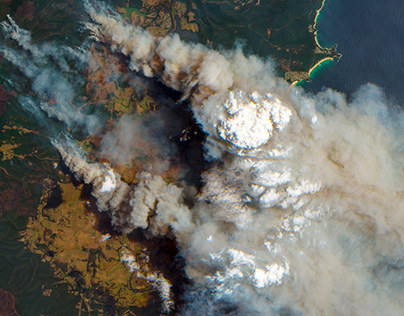 Более 205 тысяч гектаров леса горят в России