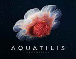 КРИПТО-ЭКОНОМИКА: Глобальная Торговля Будущего ИЛИ Виртуальное ЭЛЬДОРАДО