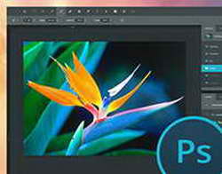 Каким должен быть ноутбук для профессионалов в 2022 году На примере ASUS Vivobook Pro 16X OLED