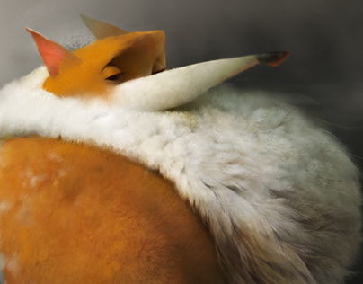 Шойгу обсудил по телефону ситуацию на Украине с министром обороны Турции