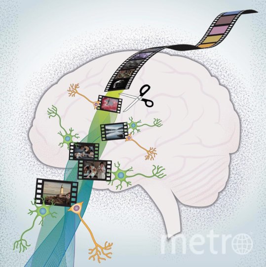 Как наш мозг хранит воспоминания